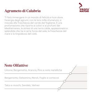 Descrizione e Note Olfattive della fragranza Agrumeto di Calabria. Descrizione: profumazione che unisce l'energia degli agrumi con la freschezza del fogliame, evocando i profumi del Mediterraneo. Note di testa: Limone, Bergamotto, Arancio, Pino e note metalliche. Note di cuore: Bergamotto, Gelsomino, Neroli, Foglie e cortecce. Note di fondo: Talco e muschi, Sandalo, Vetiver.