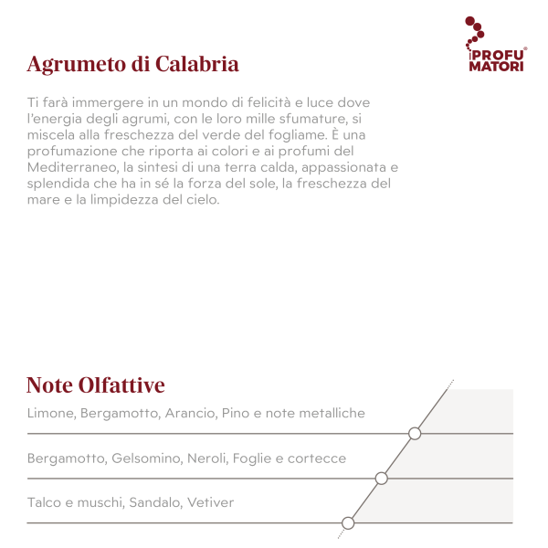 Descrizione e Note Olfattive della fragranza Agrumeto di Calabria. Descrizione: profumazione che unisce l'energia degli agrumi con la freschezza del fogliame, evocando i profumi del Mediterraneo. Note di testa: Limone, Bergamotto, Arancio, Pino e note metalliche. Note di cuore: Bergamotto, Gelsomino, Neroli, Foglie e cortecce. Note di fondo: Talco e muschi, Sandalo, Vetiver.