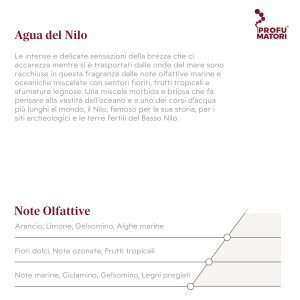 escrizione e Note Olfattive della fragranza Agua del Nilo. Descrizione: fragranza che racchiude sensazioni marine e oceaniche, miscelate con fiori, frutti tropicali e sfumature legnose. Una miscela morbida e briosa. Note di testa: Arancio, Limone, Gelsomino, Alghe marine. Note di cuore: Fiori dolci, Note ozonate, Frutti tropicali. Note di fondo: Note marine, Ciclamino, Gelsomino, Legni pregiati.