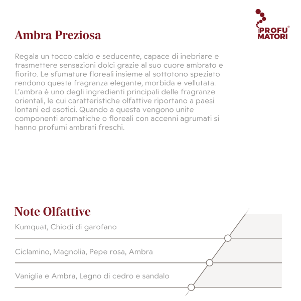 Descrizione e Note Olfattive della fragranza Ambra Preziosa. Descrizione: fragranza calda e seducente con un cuore ambrato e fiorito, con sfumature floreali e sottotono speziato. Note di testa: Kumquat, Chiodi di garofano. Note di cuore: Ciclamino, Magnolia, Pepe rosa, Ambra. Note di fondo: Vaniglia e Ambra, Legno di cedro e sandalo.