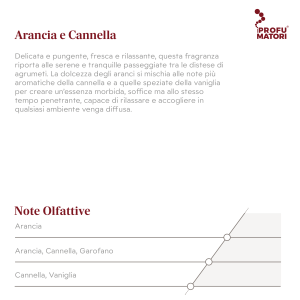 Descrizione e Note Olfattive della fragranza Arancia e Cannella. Descrizione: fragranza delicata, pungente, fresca e rilassante che unisce la dolcezza degli aranci con la cannella e la vaniglia per un'essenza morbida e penetrante. Note di testa: Arancia. Note di cuore: Arancia, Cannella, Garofano. Note di fondo: Cannella, Vaniglia.