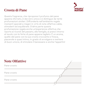 Descrizione e Note Olfattive della fragranza Crosta di Pane. Descrizione: fragranza unica che ripropone il profumo del pane appena sfornato, evocando ricordi familiari e stimolando benessere e appetito. Un aroma intimo, piacevole e avvolgente. Note di testa: Pane-crosta. Note di cuore: Pane-crosta. Note di fondo: Pane-crosta.
