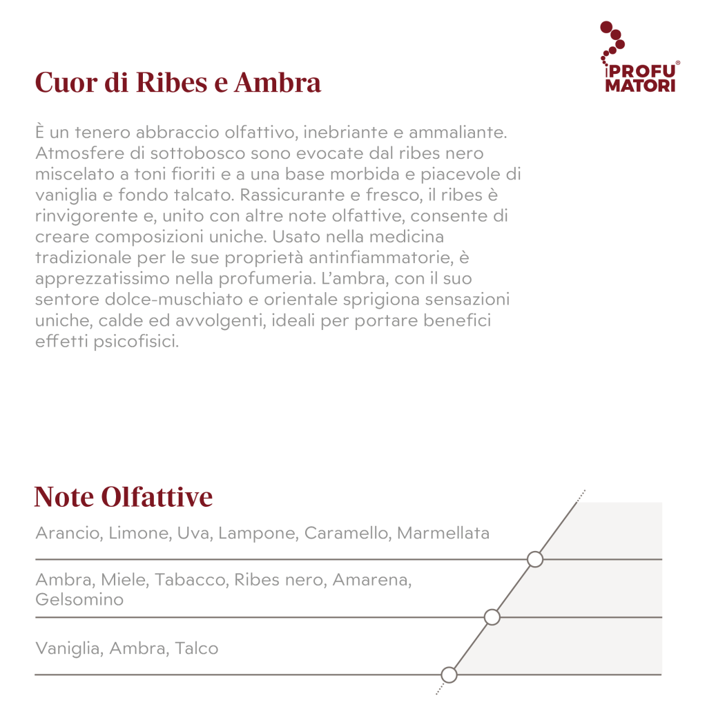 Descrizione e Note Olfattive della fragranza Cuor di Ribes e Ambra. Descrizione: abbraccio olfattivo inebriante, ammalia con ribes nero, toni fioriti e una base morbida di vaniglia e talco. Rassicurante e fresco, con l'ambra che sprigiona sensazioni uniche, calde e avvolgenti. Note di testa: Arancio, Limone, Uva, Lampone, Caramello, Marmellata. Note di cuore: Ambra, Miele, Tabacco, Ribes nero, Amarena, Gelsomino. Note di fondo: Vaniglia, Ambra, Talco.