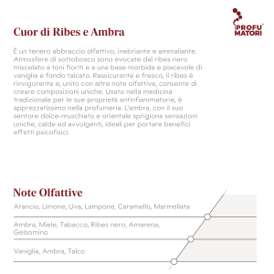 Descrizione e Note Olfattive della fragranza Cuor di Ribes e Ambra. Descrizione: abbraccio olfattivo inebriante, ammalia con ribes nero, toni fioriti e una base morbida di vaniglia e talco. Rassicurante e fresco, con l'ambra che sprigiona sensazioni uniche, calde e avvolgenti. Note di testa: Arancio, Limone, Uva, Lampone, Caramello, Marmellata. Note di cuore: Ambra, Miele, Tabacco, Ribes nero, Amarena, Gelsomino. Note di fondo: Vaniglia, Ambra, Talco.