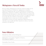 Melograno e Fava di Tonka F08 – Fragranze Frutta - immagine 2