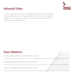 Oriental Vibes F 20225 – Fragranze Orientali - immagine 2