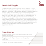 Sentieri di Pioggia F34 – Fragranze Piante - immagine 2