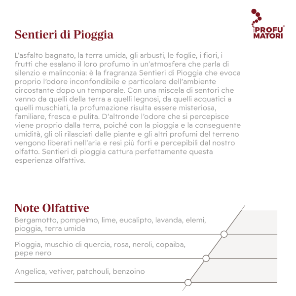 Sentieri di Pioggia F34 – Fragranze Piante - immagine 2