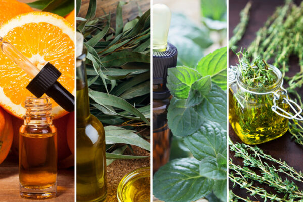 fragranza igienizzante Dynamic Flow 135