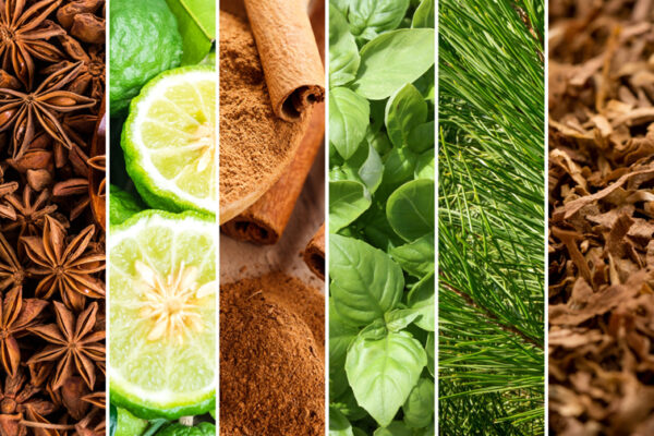 Fragranza maschile Gentlemen's Lounge 900