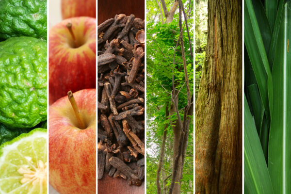 Fragranza maschile Le Patron 039