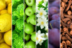 Fragranza fiori Tonica Menthe F20227