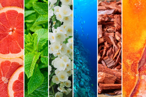 Fragranza marine Pacific Ocean 197