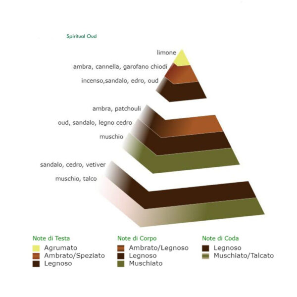 Ricarica diffusore ambiente fragranza orientale Spiritual Oud F42 Ricarica diffusore ambiente fragranza orientale Spiritual Oud F42