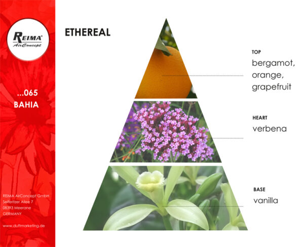 ricarica diffusore elettrico fragranza piante Bahia F065 Reima