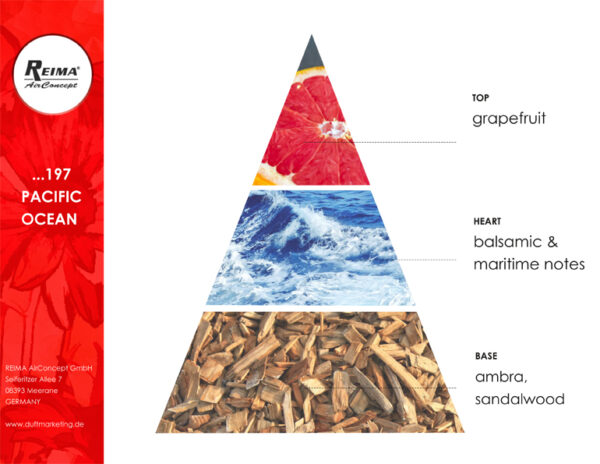 ricarica diffusore elettrico fragranza marina Pacific Ocean 197 Reima