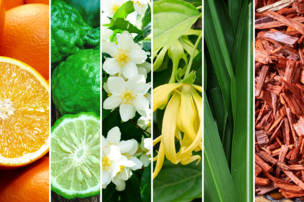 Fiori-di-Luce Fiori di Luce F02 – Fragranze Fiori - immagine 6