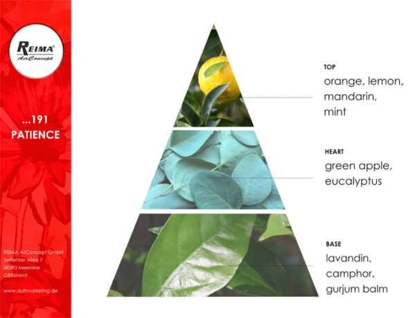 ricarica diffusore elettrico fragranze frutta patience 191 reima